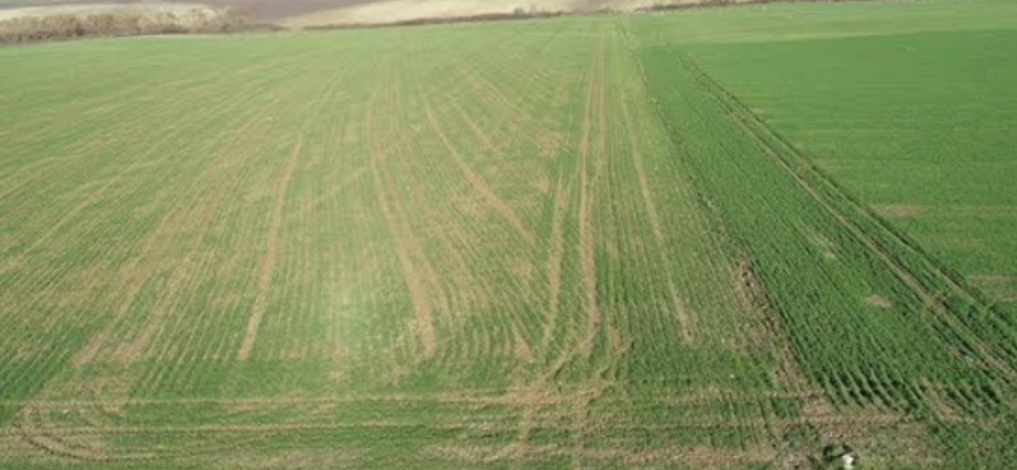 Kırklareli’nde 50 seneliğine kiralık arazi